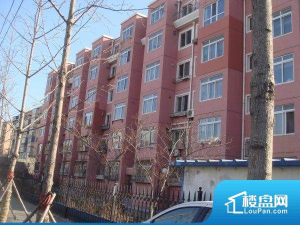 大连南平花园房价 二手房 租房