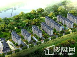 南平武夷山樟树园108树效果图 实景图 样板间 南平楼盘网