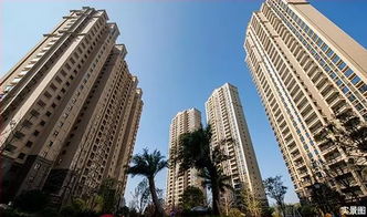 南平三区2号楼获批预售证，推动房地产市场新动态