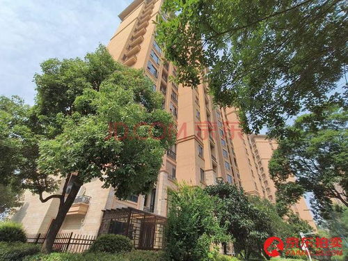 南平市司法拍卖上新三套精品房产，置业良机不容错过